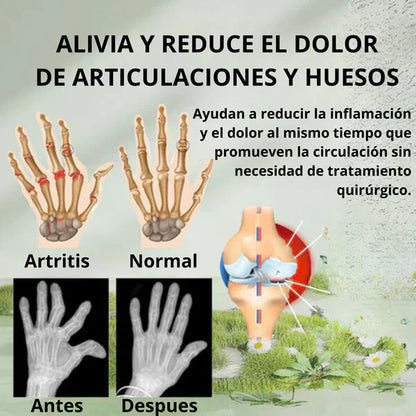 Beevana® 2X1 || Formula secreta con veneno de abeja